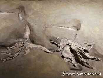 Zonder tech-archeologie geen digitale transformatie