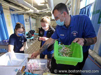 Coronavirus cases in Massachusetts increase by 1,386 as 2.2 million fully vaccinated - Boston Herald