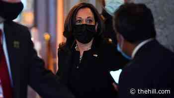 Harris to speak with Mexican president about tree-planting initiative, poverty, migration