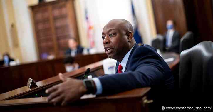 WaPo Digs Into Sen. Scott’s Background to Show He Hasn’t Suffered Enough to Be a Real Black, It Backfires as People Step Forward