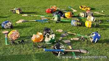 Shane Smith: Our challenge as adult coaches is to look at coaching through the lens of the child - Irish Examiner