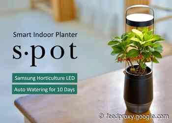 Spot auto-watering plant pot and indoor garden