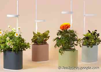 Nano indoor garden
