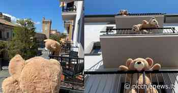 Porto Recanati si riempie di turisti, ma di peluche: l'Hotel Enzo "sold out" grazie agli orsacchiotti - Picchio News