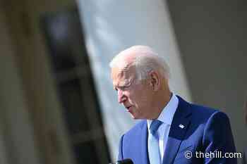 Majority disapproves of Biden's handling of immigration at border: poll
