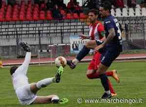 Perugia favorito nella sfida della 37^ di campionato con il Matelica - marcheingol.it