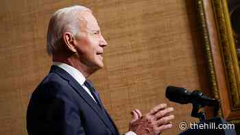 Almost half say border security worse under Biden: Fox News poll