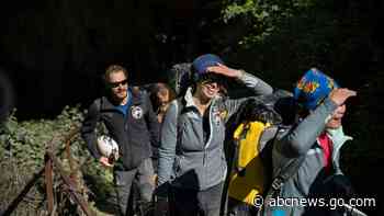 Out of the cave: French isolation study ends after 40 days