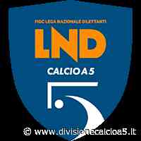 Italservice Pesaro - Todis Lido di Ostia: 7 - 2 » Divisione Calcio a cinque - Divisione Calcio a 5