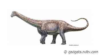 New Species of Plant-Eating Dinosaur Discovered in World’s Driest Desert in Chile - Gadgets 360