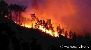 Watch: 'High risk' forest fire warning issued as emergency services battle massive blaze in Killarney National Park - EchoLive.ie