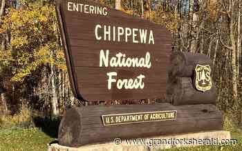 Committee seeks public project proposals for north-central Minnesota forest lands - Grand Forks Herald