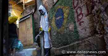 More contagious Brazil coronavirus variant found in Dallas - The Dallas Morning News