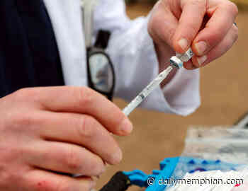 Coronavirus: 119 new cases, 3 additional deaths - Memphis Local, Sports, Business & Food News - The Daily Memphian