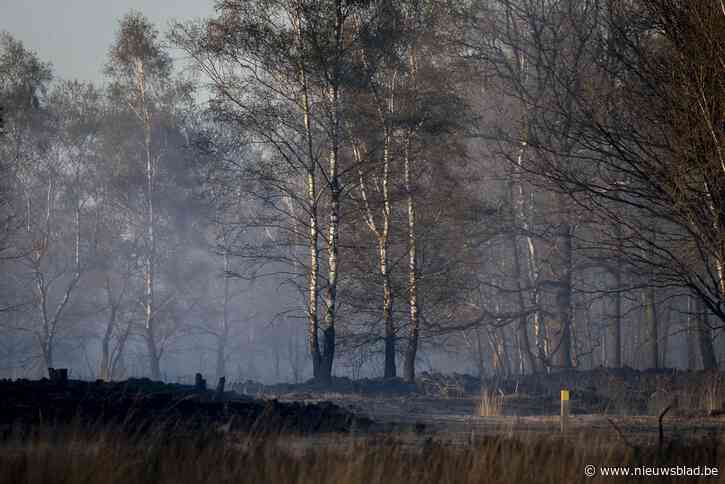 Enorme factuur voor grote natuurbrand in Brecht: gaan wij dat moeten betalen?