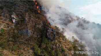 San Martín: incendio destruye más de 15 hectáreas de bosque en Moyobamba | LRND - LaRepública.pe