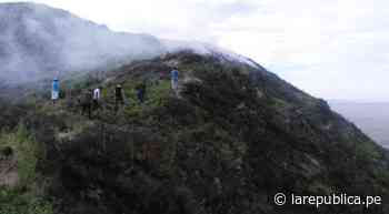 Lambayeque: incendio forestal arrasa con 40 hectáreas de vegetación en Reque | VIDEO - LaRepública.pe