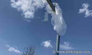 'People taking initiative': Markham residents removing bags from basketball hoops - yorkregion.com