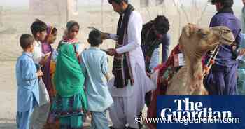 Bearing gifts: the camels bringing books to Pakistan’s poorest children