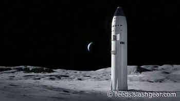 Elon Musk says Starship could take humans to the moon in 2024