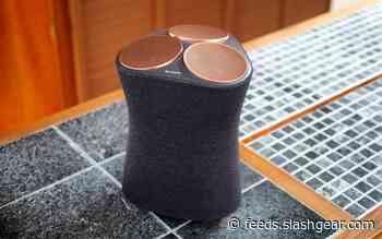 Sony SRS-RA5000 Review: Taking an expensive risk on 360 audio