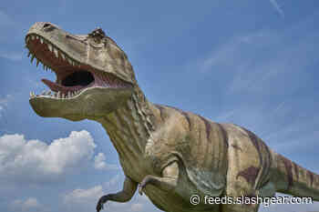 Researchers say the T Rex walked about the same speed as a person