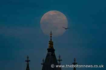 How you can see the pink supermoon this week