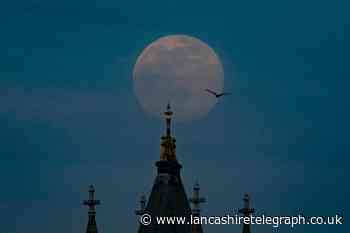 How you can see the pink supermoon this week