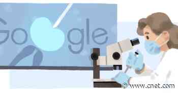 Google Doodle celebrates biologist Anne McLaren, IVF pioneer     - CNET