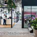 Global collective of architects and designers launch International Design Alliance Network