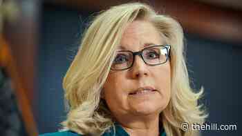 Liz Cheney says McConnell and McCarthy are heads of the GOP