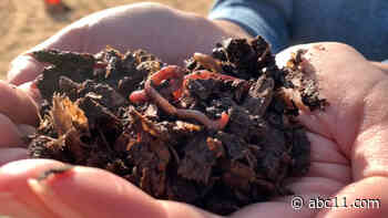 How a Central California winery uses worms in wine production