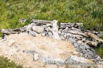 Lebensräume für Eidechse und Spatz - Hirschberg - Nachrichten und Informationen - Mannheimer Morgen