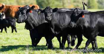 Biden’s climate plan won’t limit meat consumption