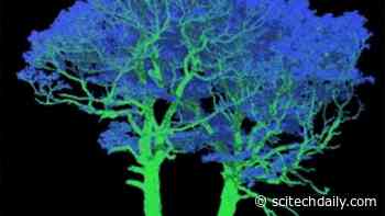 Ultra HD 3D Holographic Head-Up Display Could Improve Road Safety