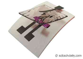 Engineers Have Developed the World’s First Fully Recyclable Printed Electronics