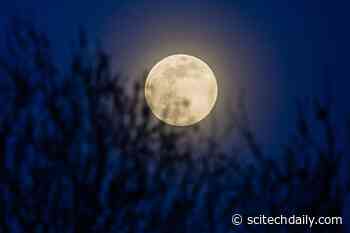 This Pink Supermoon Has a Twist – Expect Flooding, but a Lunar Cycle Is Masking Effects of Sea Level Rise