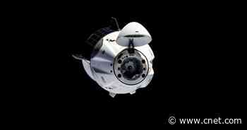 SpaceX Crew-1 splashdown: How to watch NASA astronauts come home     - CNET