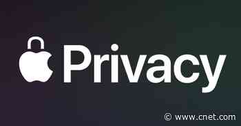 Apple's privacy battle with Facebook just became all-out war     - CNET