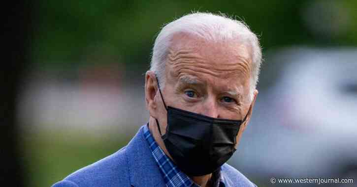Young Not Stupid: There’s Now a Bipartisan Bill to Stop the Border Crisis But Biden Will Never Sign It