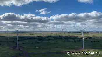 Billion dollar bidding war as investment in renewable technology heats up