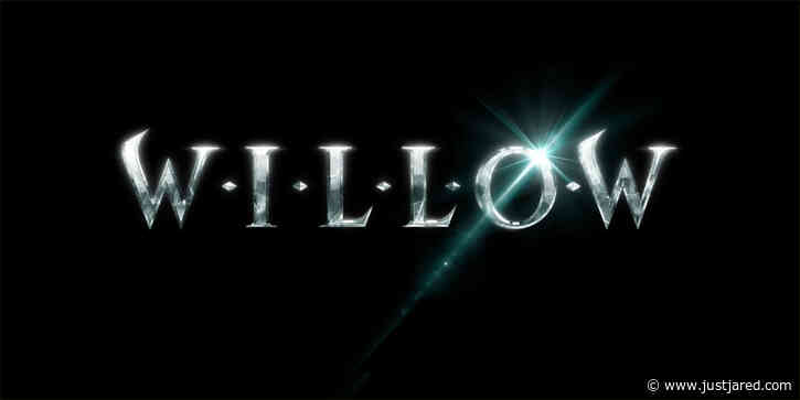 Disney+ Adds Amer Chadha-Patel In Fourth Lead Role in 'Willow' Series