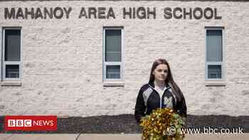 US teen's Snapchat rant reaches Supreme Court in free speech case