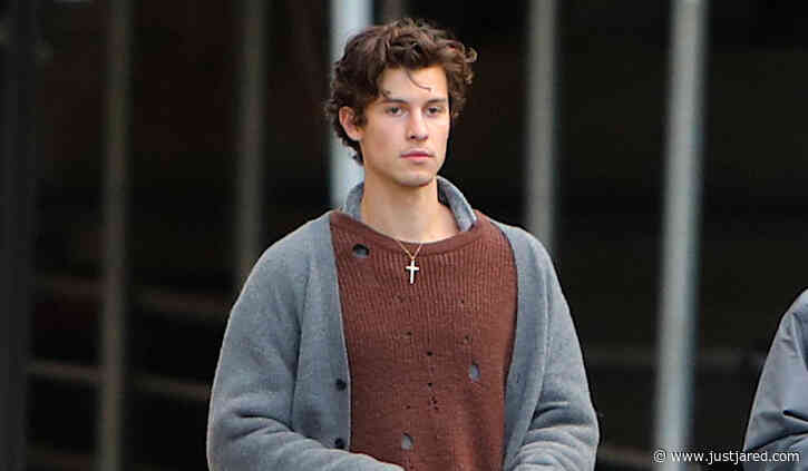 Shawn Mendes Takes His Dog Tarzan For a Walk in NYC