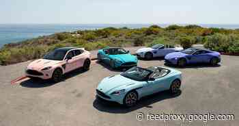 The fabulous Aston Martin Pastel Collection is just the tip of the iceberg     - Roadshow