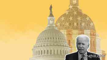 The Memo: Biden bets 'big government' is back