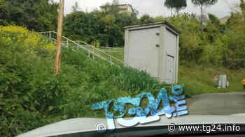 Anagni – San Giorgetto: erba alta a scuola, sporcizia e manto stradale rovinato (foto) - TG24.info