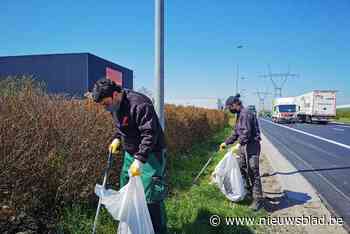 Bedrijven zijn sluikstorten zo beu dat ze zelf ’grote kuis’ houden: “Niet normaal dat wij hier andermans vuil moeten opruimen”