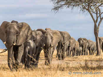 Hadoop’s Legacy: No more fear of data