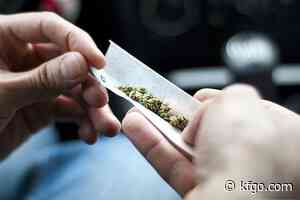 Request for proposals on implementing medical marijuana | The Mighty 790 KFGO - KFGO News